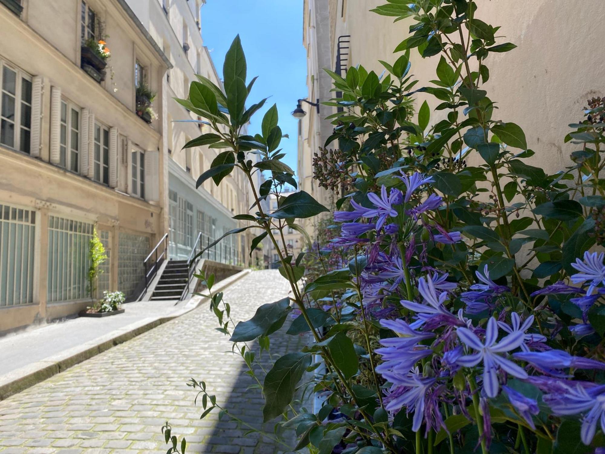 Sacre Coeur Arev Sur Les Pas D Emily In * Parijs